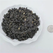 Semi di girasole per alimenti per uccelli