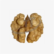 Mezzi Kernel Di Noce