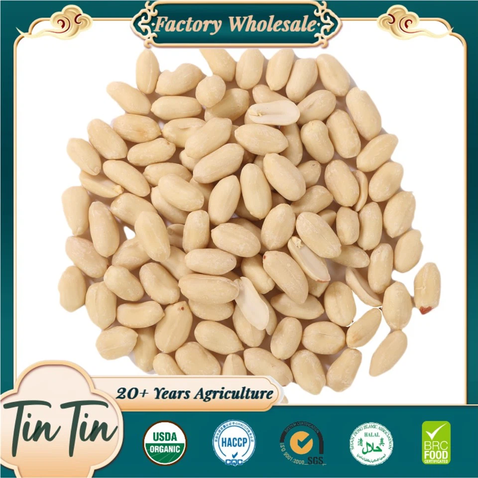 Kernel di arachidi Blanched 25/29 2024 Crop