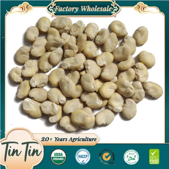 Fava cinese sbucciata grande di altissima qualità