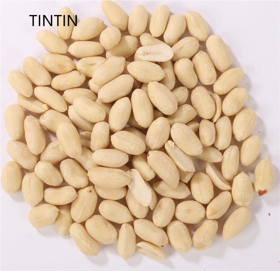 Arachidi preferite di qualità premium Arachidi ottimali Arachidi fini superiori