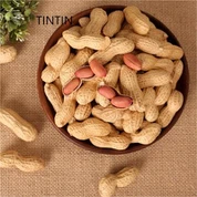 Arachidi cinesi tostate con guscio