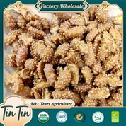 Arachidi di caffè cinese di buona qualità