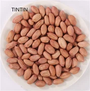 Fornitore di semi di arachidi cinesi di alta qualità