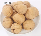 Noce cinese di alta qualità in guscio