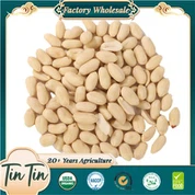 Semi di arachidi cinesi sbollentati a basso prezzo e di alta qualità