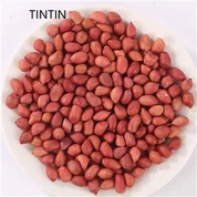 Arachidi a buccia rossa all'ingrosso